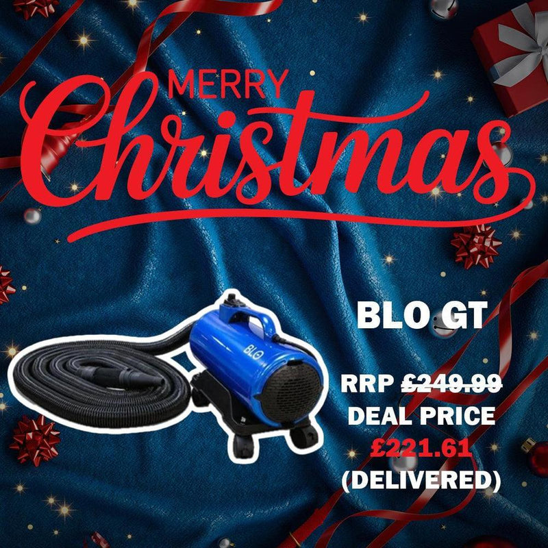 Load image into Gallery viewer, BLO Car Dryer Air-GT - UK Plug-Cartec UK
