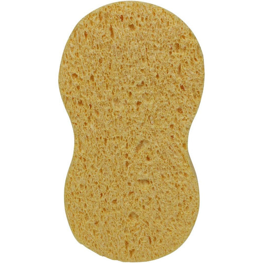 Cellulose Bone Polish Applicator Sponge-Cartec UK